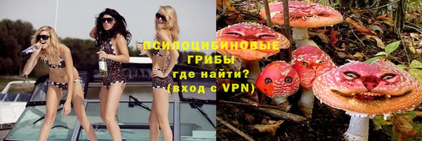 гидра Балахна