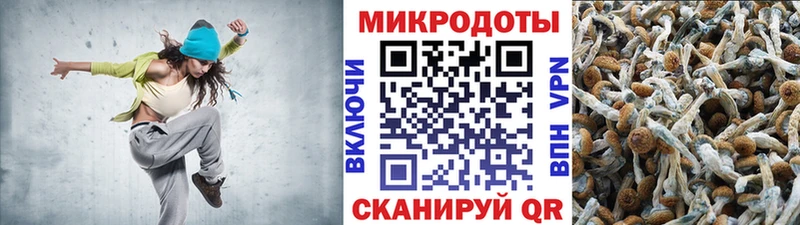 Псилоцибиновые грибы Psilocybe omg ТОР Павловская